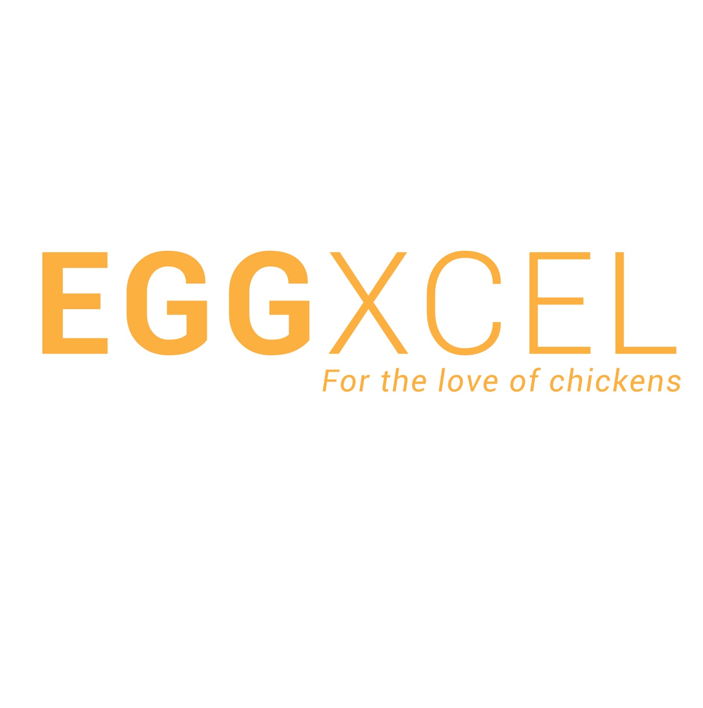 EGGXCEL